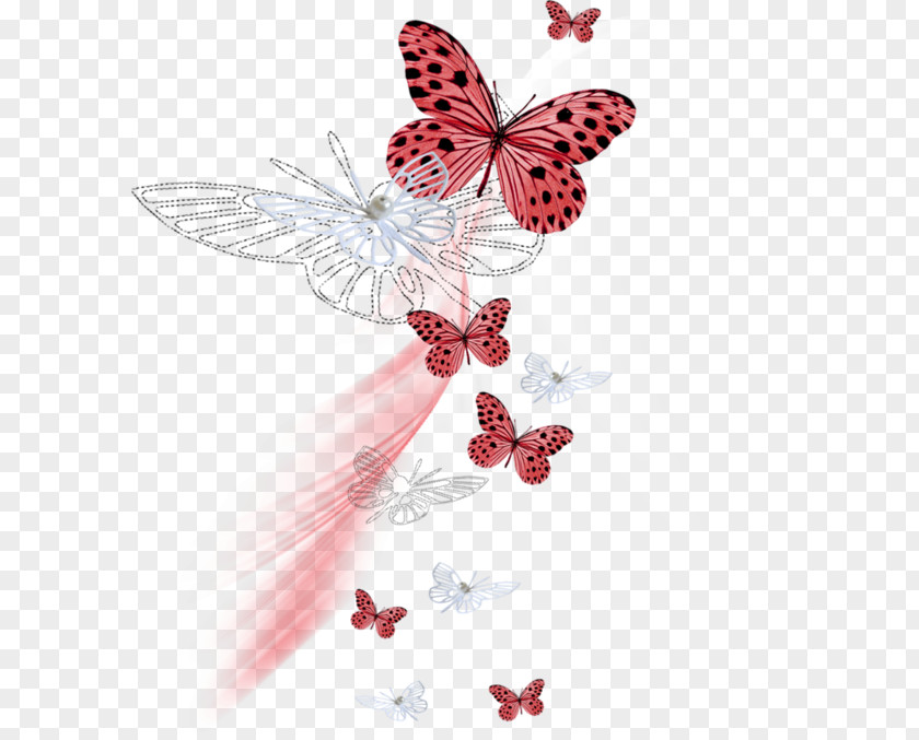 Floating Butterfly Frame Net Clip Art Papillon Dog Image PNG