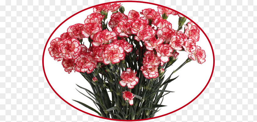 Flower Dom Tsvetochnoy Mody Bouquet Floral Design Garden Roses PNG