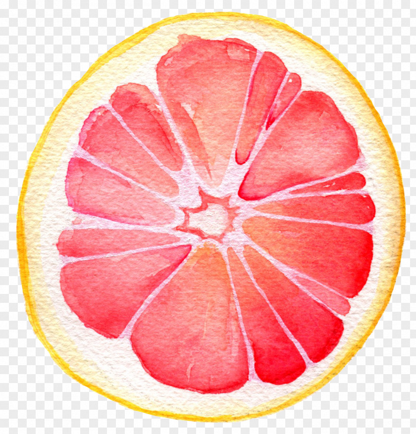 Grapefruit Juice Pomelo Lemon Watercolor Painting PNG