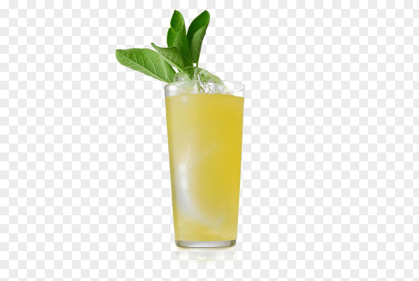 Lemon Juice Cocktail Gin Mai Tai Sea Breeze PNG
