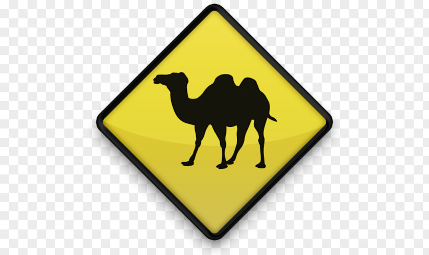Silhouette Bactrian Camel Dromedary Stencil PNG