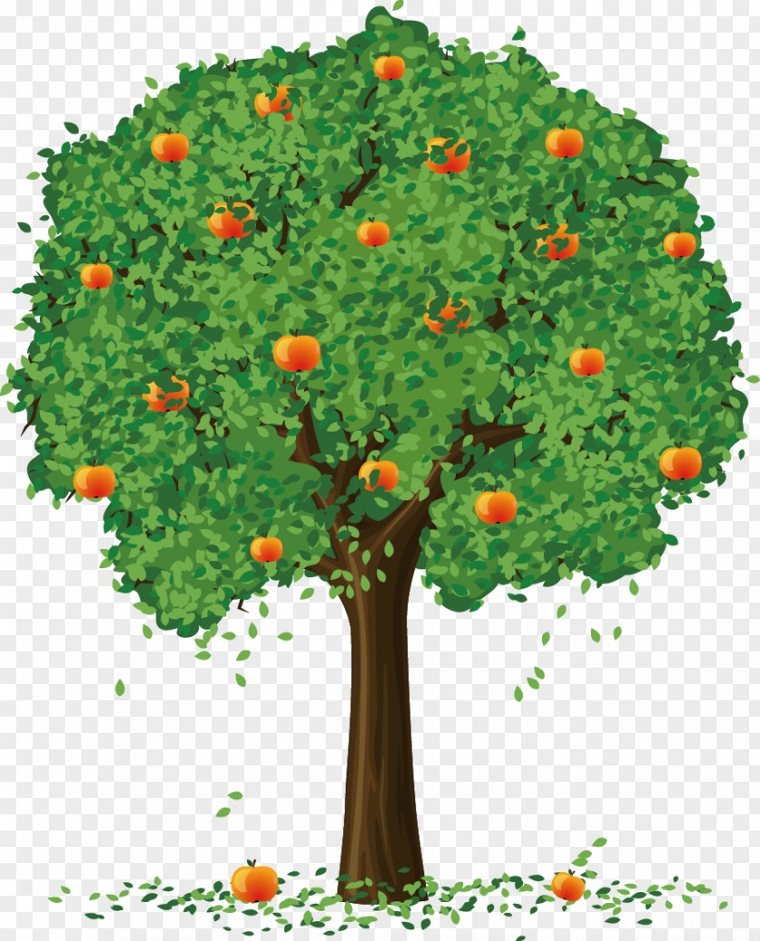 Apple Tree Fruit Clip Art PNG
