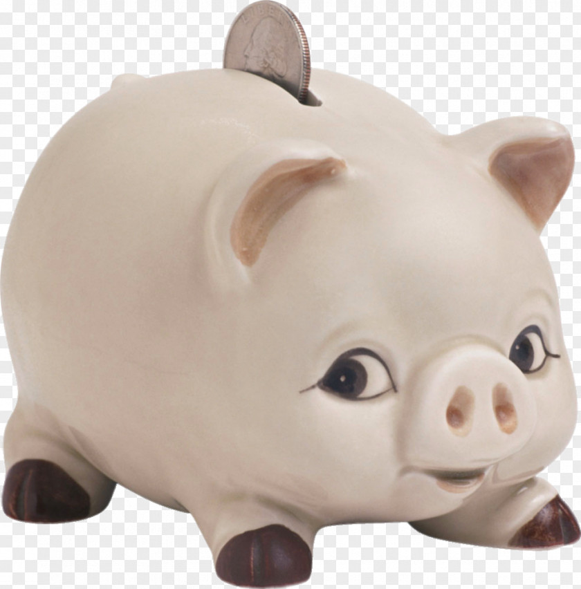 Cute Piggy Bank Toy Clip Art PNG