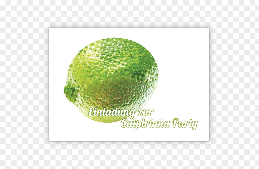 Evening Party Watermelon Squash PNG