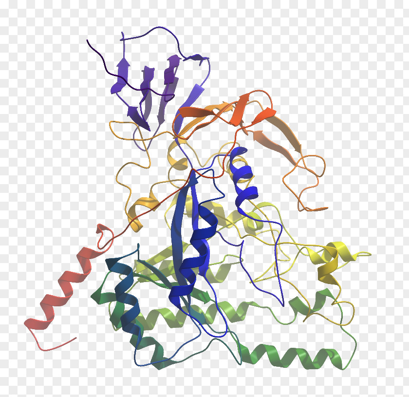 Poly Adpribose Polymerase Floral Design NTT Data Engineering Systems Corporation Structure Dihydropyrimidinase-like 4 PNG