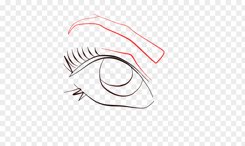 Sushi Handmade Lesson /m/02csf Drawing Eye Line Art Clip PNG