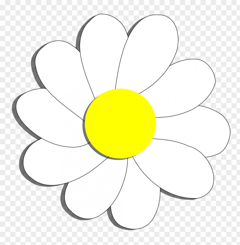 Daisy Flower Cliparts Common Coloring Book Clip Art PNG