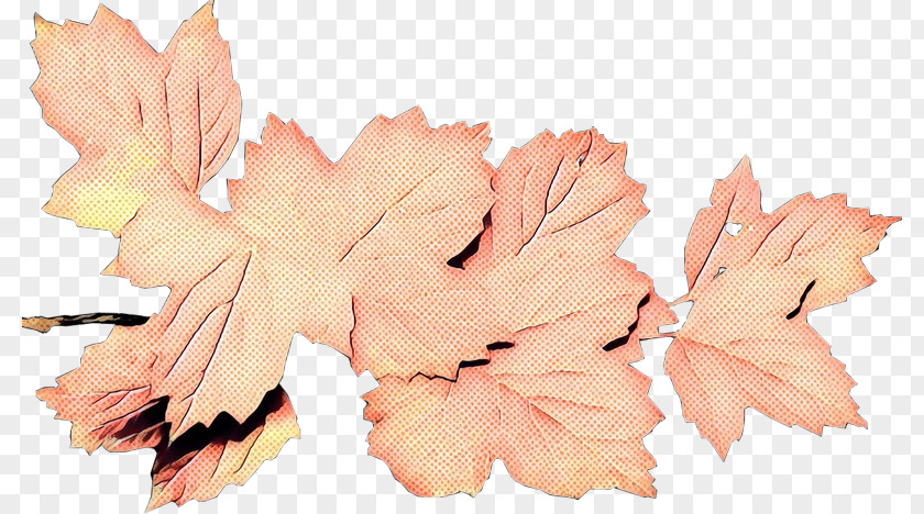 Deciduous Petal Pink Flower Cartoon PNG