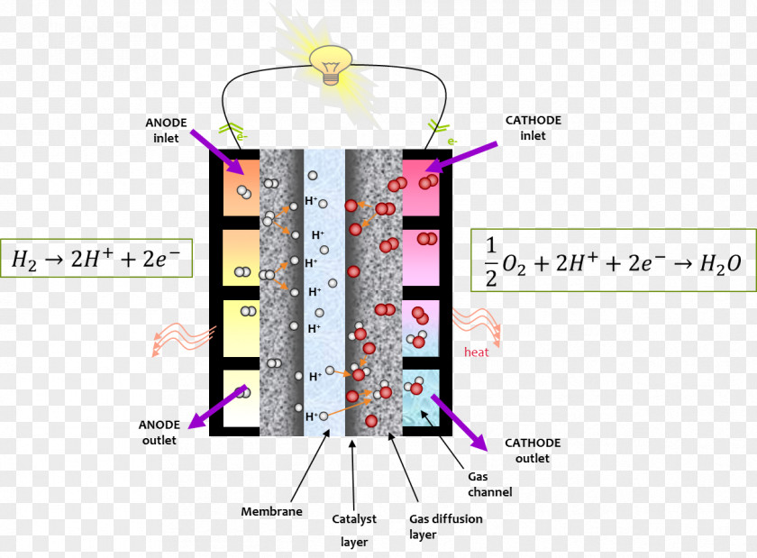 Fuel Cells Proton-exchange Membrane Cell Ionomer PNG