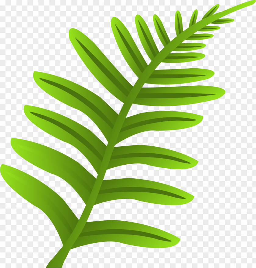 Green Grass Leaf Plant Stem Font PNG