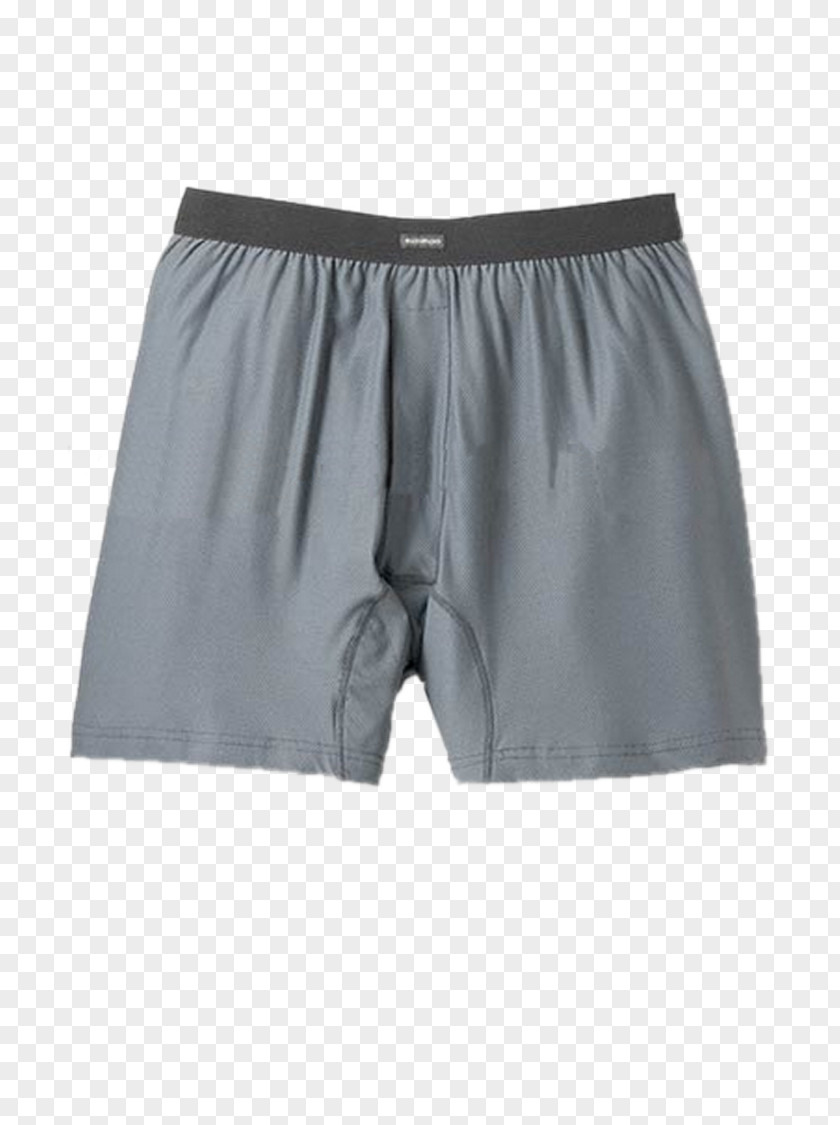 Swim Briefs Trunks Underpants Bermuda Shorts PNG