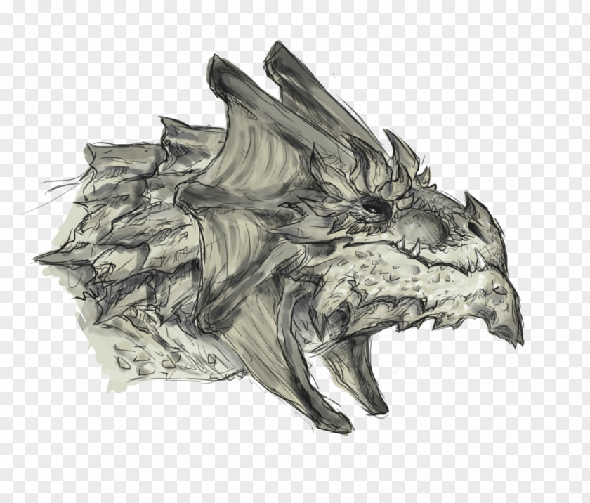 Warlords Drawing Dragon /m/02csf Sketch PNG