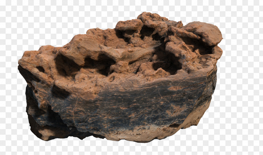 Collect Rocks Day Mineral PNG