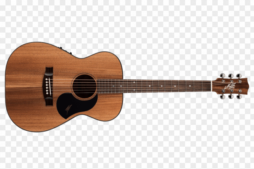 Guitar Ukulele Cutaway Acoustic Electric PNG