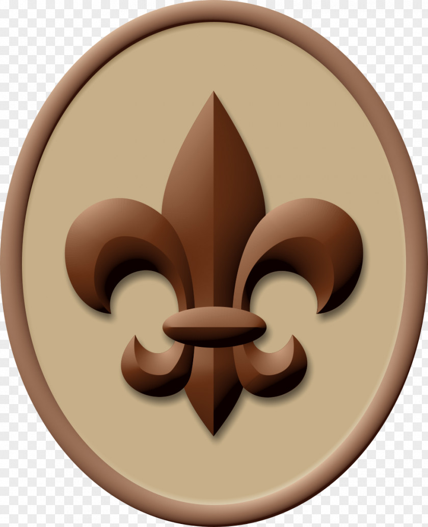 Scout Boy Handbook Ranks In The Scouts Of America Scouting Eagle PNG