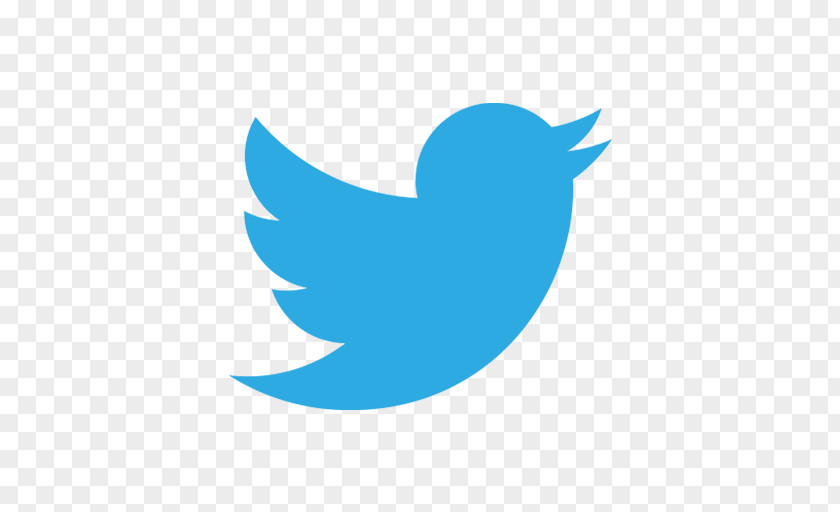 Twitter Gediflora Social Media University Of Delaware Advertising PNG