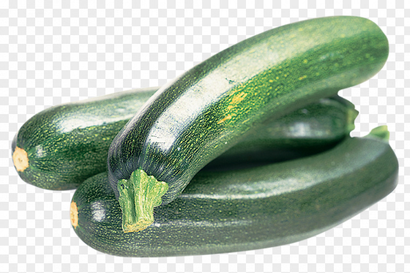 Aquatic Plants Zucchini Vegetable Cucumber Summer Squash PNG