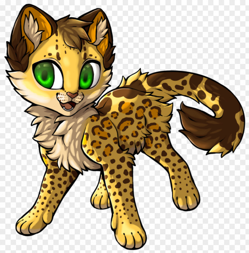 Cat Ocelot Whiskers Wildcat Leopard PNG