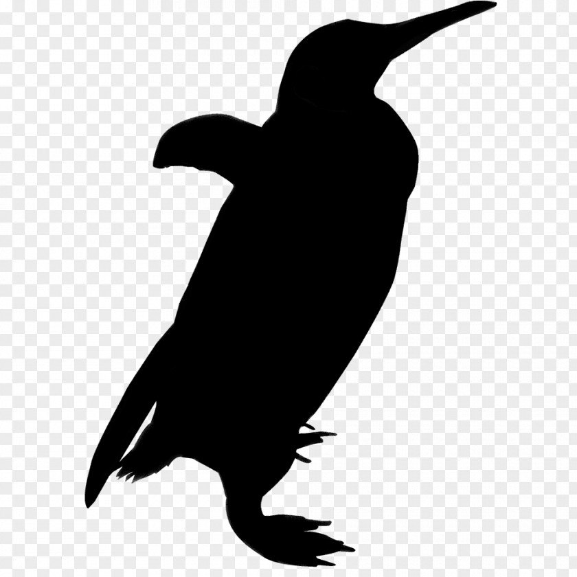 Clip Art Silhouette Bird Penguin Vector Graphics PNG