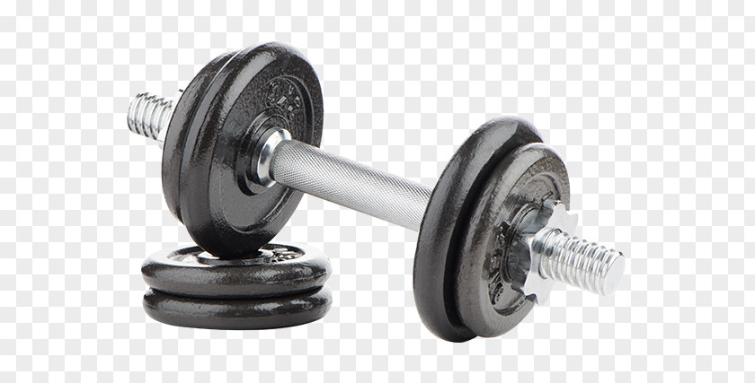 Halteres Dumbbell Physical Fitness Centre Exercise Equipment PNG