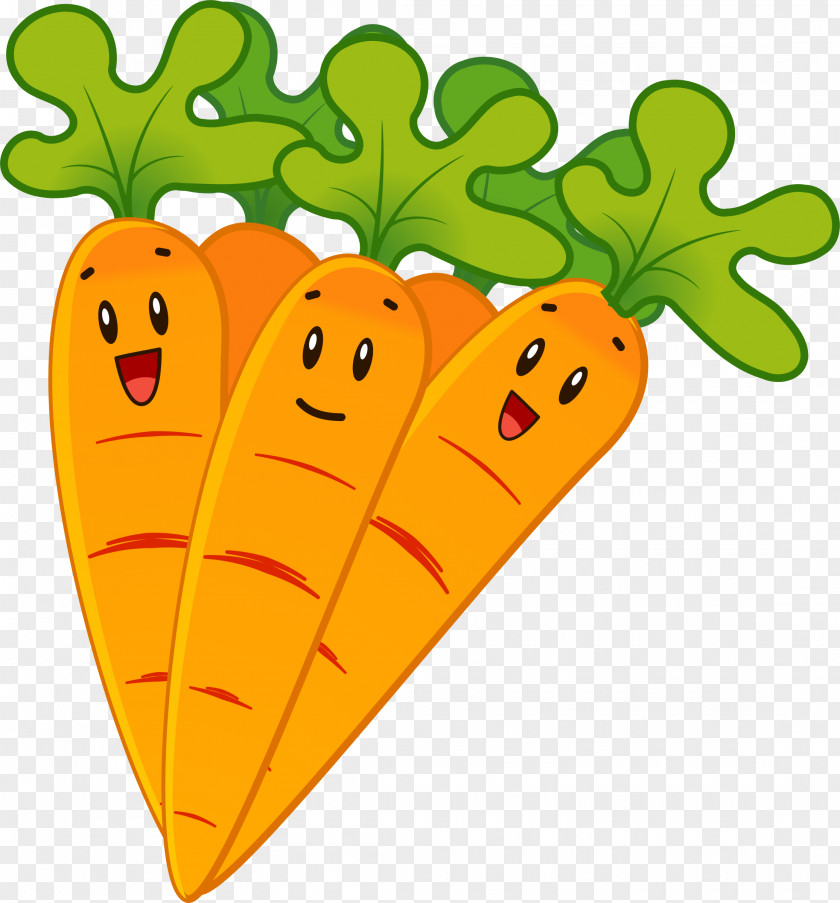 Carrot Vegetable Food Clip Art PNG