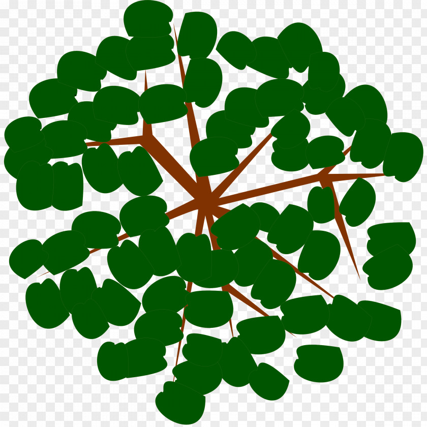 Fir-tree Tree Clip Art PNG