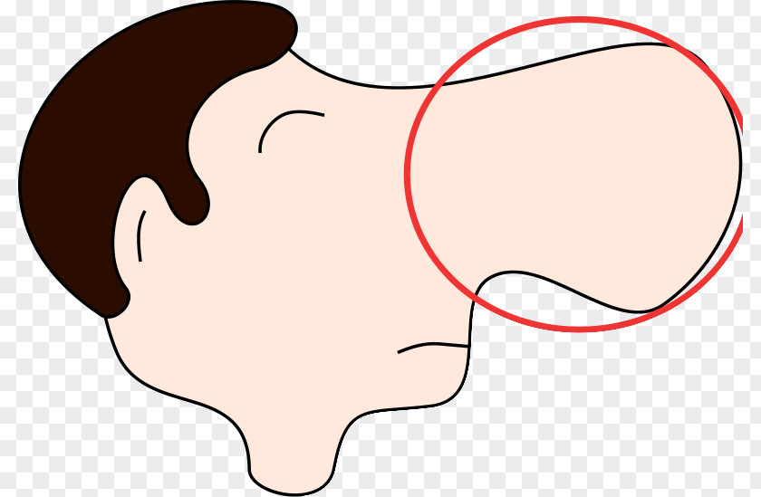 Full Of Big Nose Olfaction Clip Art PNG