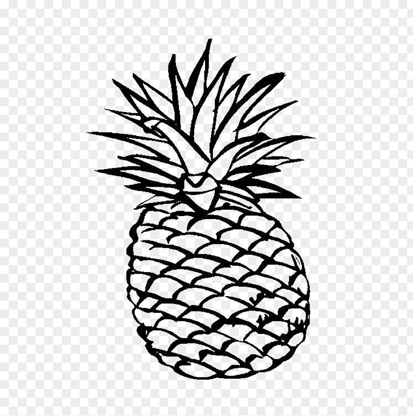 Pineapple Coloring Book Fruit Adult Image PNG
