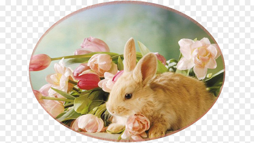 Rabbit Easter Bunny Rodent Grove Hill Floral PNG