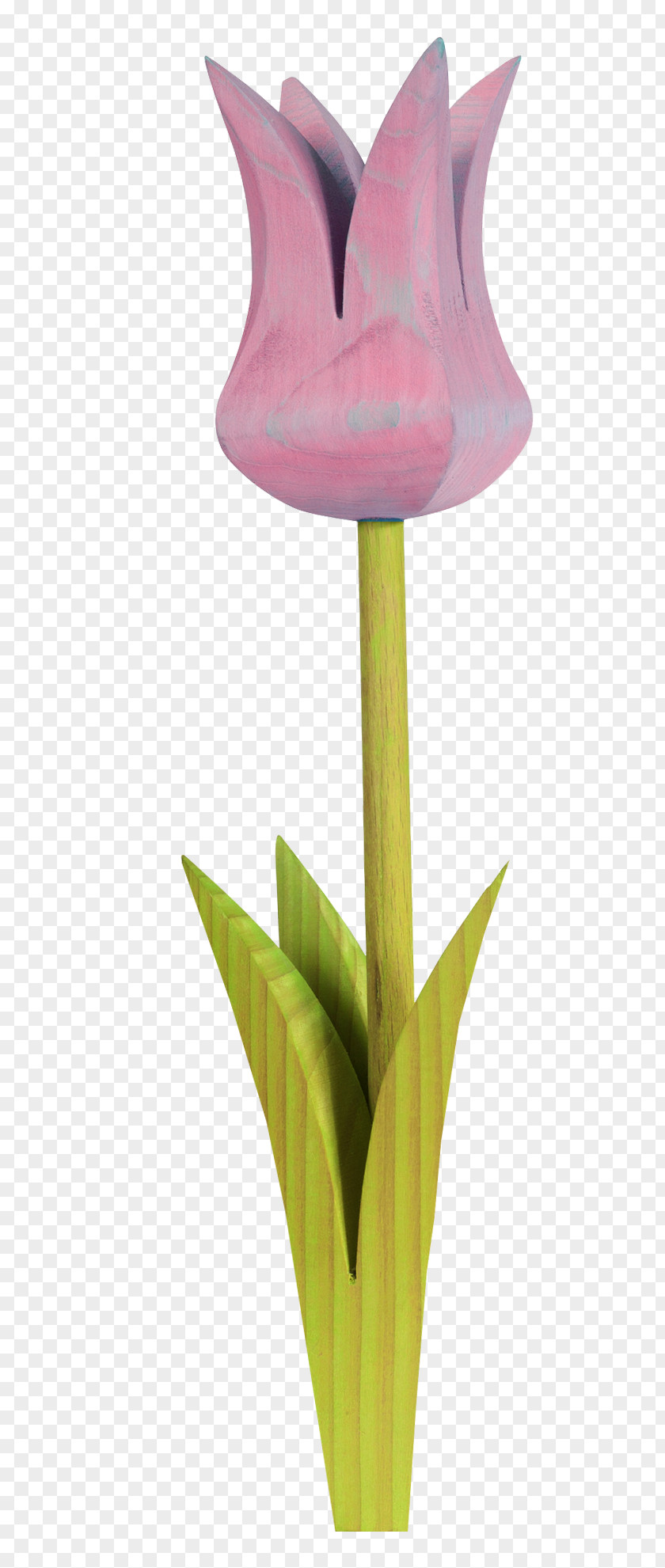 Romantic Purple Tulip Clip Art PNG
