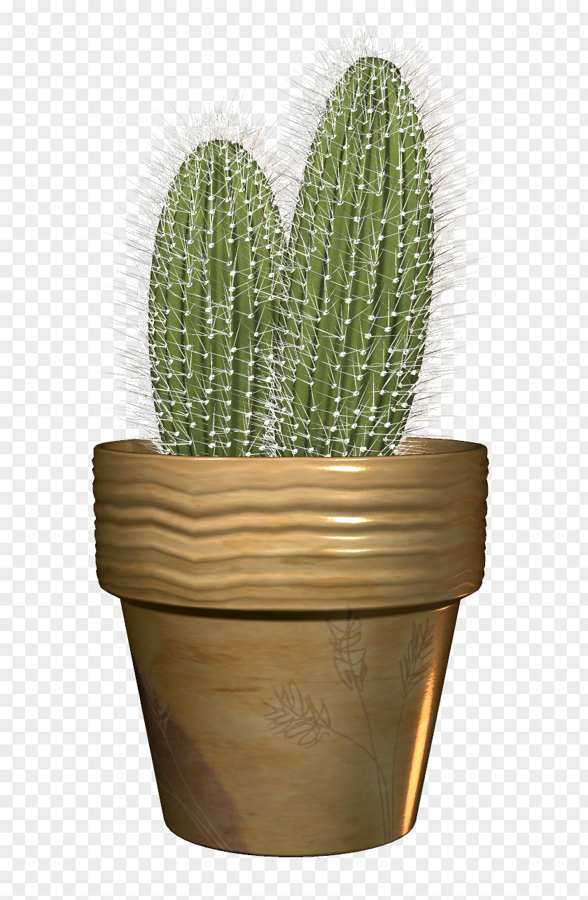 Cactus Cactaceae Flowerpot PNG