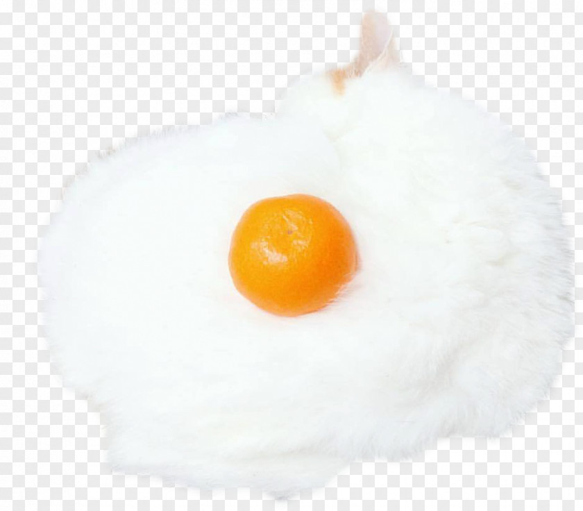 Egg Fried Yolk Frying PNG