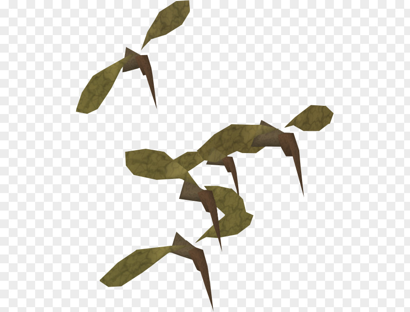 Eucalyptus Plant Stem Twig Background PNG