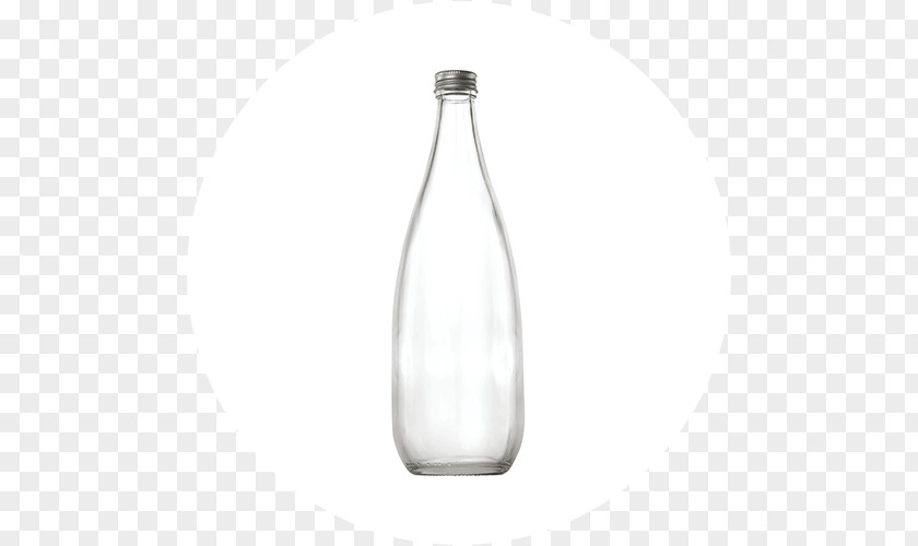 Fruit Juice Company Glass Bottle Water Bottles PNG