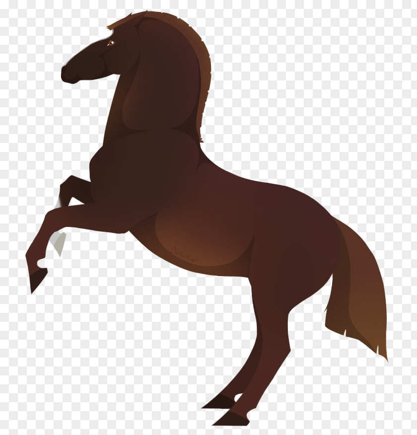 Mustang Stallion Pony Rein Pack Animal PNG