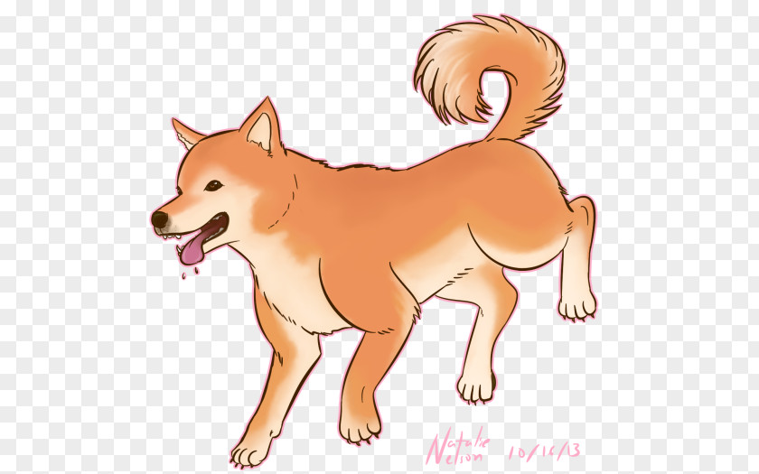 Shiba Inu Drawing Finnish Spitz Dog Breed Doge Snout PNG