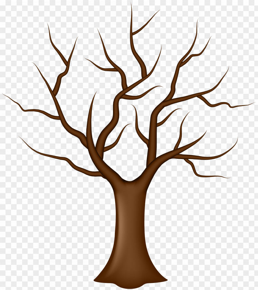 Tree Without Leaves Clip Art Leaf PNG