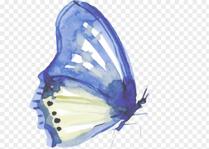 Butterfly Paper Watercolor Painting Ink PNG