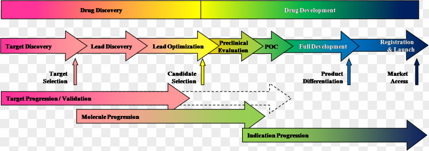 Drug Discovery Development Pharmaceutical Industry Research PNG