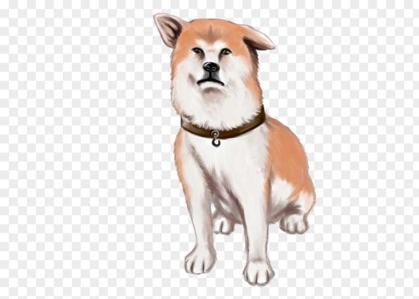 Hachiko Streamer Dog Breed Companion Akita Whiskers Illustration PNG