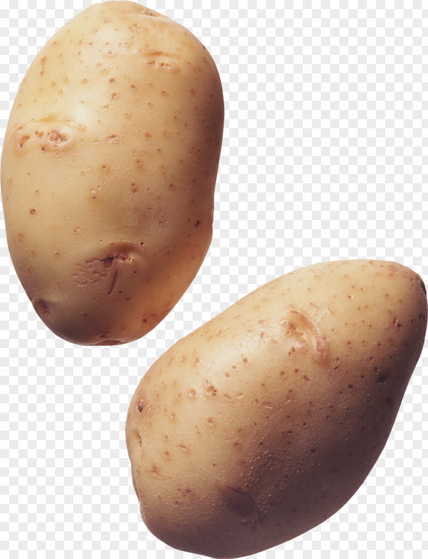 Potato Kennebec French Fries Clip Art PNG
