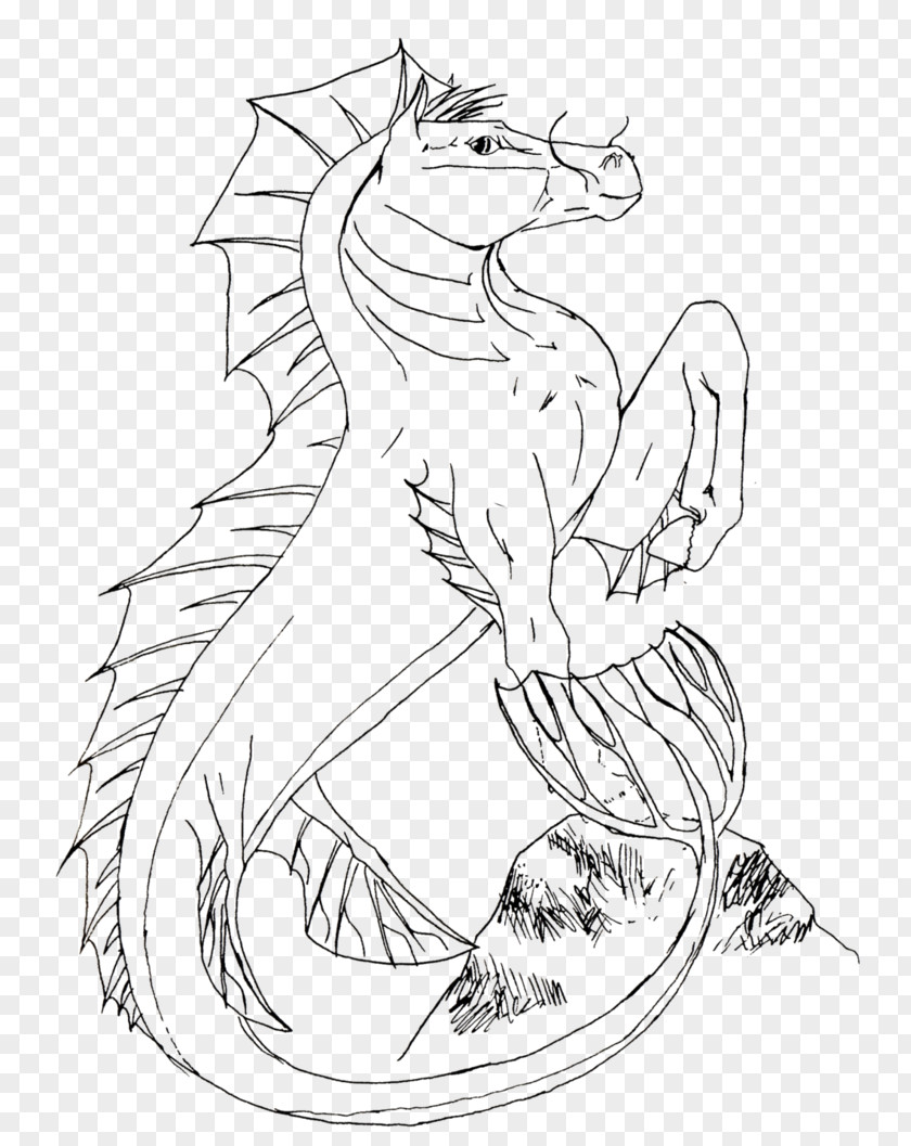 Seahorse Drawing Line Art DeviantArt PNG