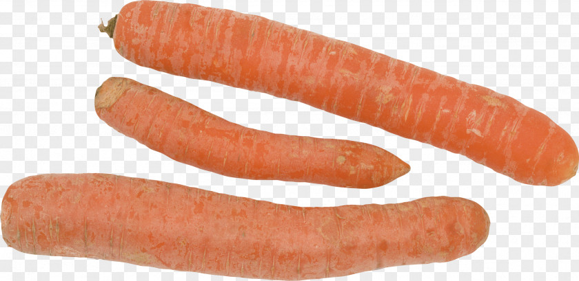 Carrot Image Thuringian Sausage Hot Dog Bockwurst Mettwurst PNG