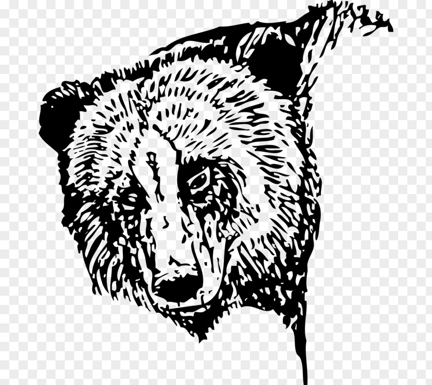 Grizzly Bear Drawing Tutorial Polar Clip Art PNG