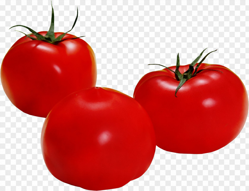 Vegetarian Food Local Tomato Cartoon PNG