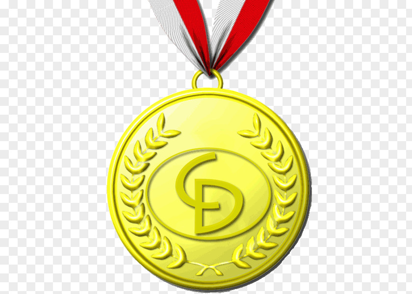 12 Gold Medals Medal Silver Bronze Competition PNG