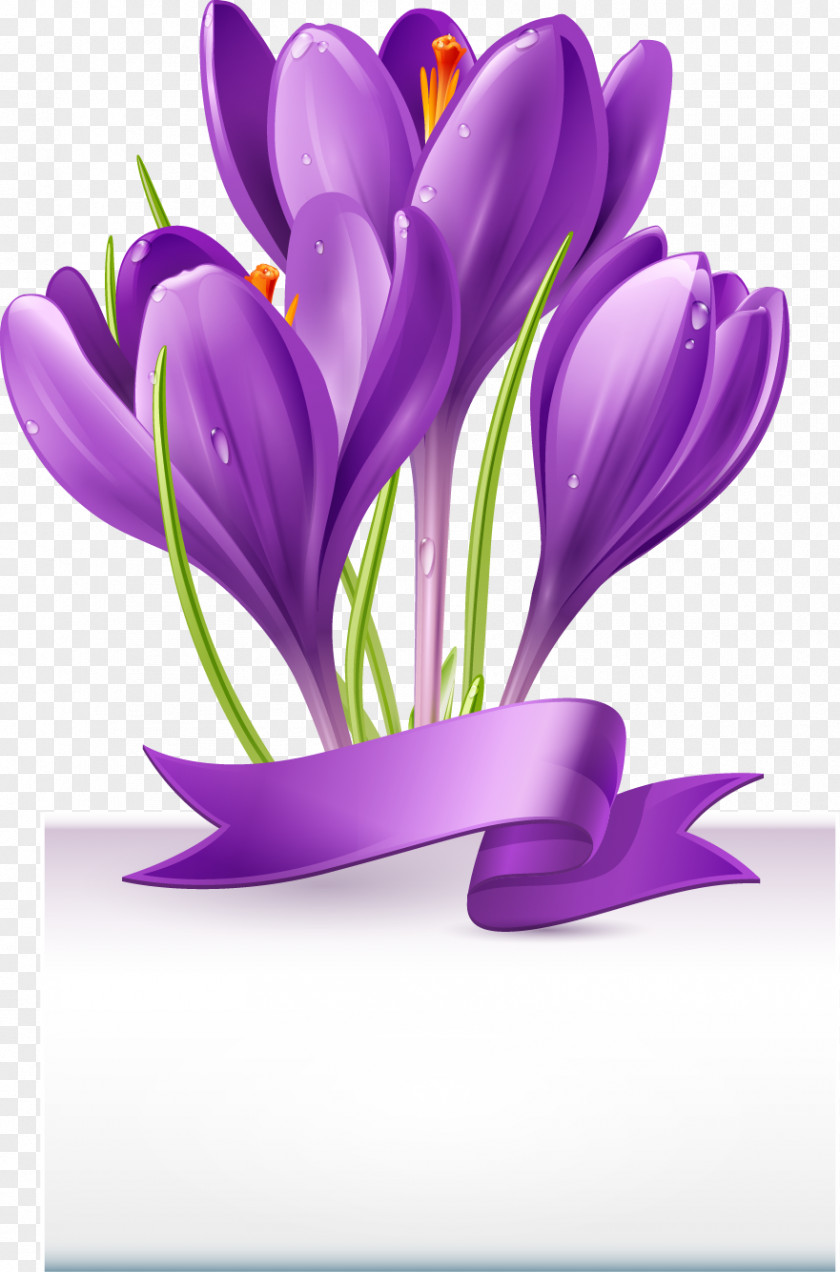 Beautiful Bouquet Of Purple Ribbon PNG