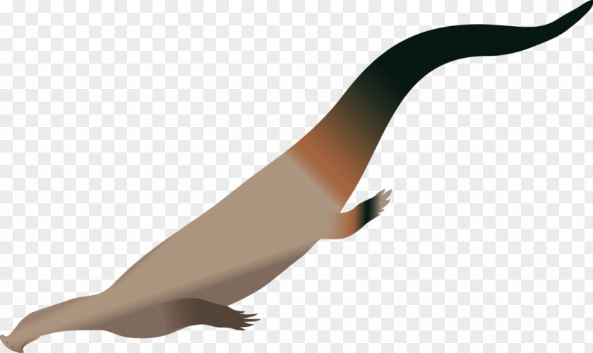 Bird Atopodentatus Lythronax Animal Goose PNG