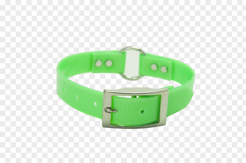 Dog Collar Watch Strap PNG