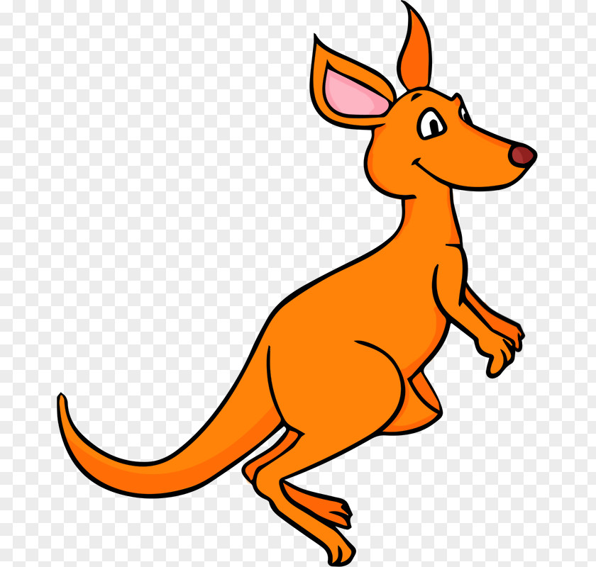 Kangaroo Cliparts Joey Free Content Clip Art PNG